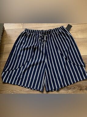 Espresso  Blue and white stripes dress shorts 3X